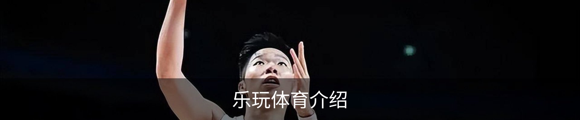 乐玩体育介绍